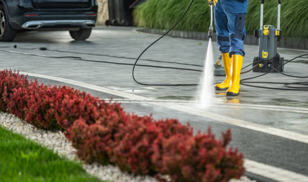 Best Driveway Pressure Washing  in Parksdale, CA